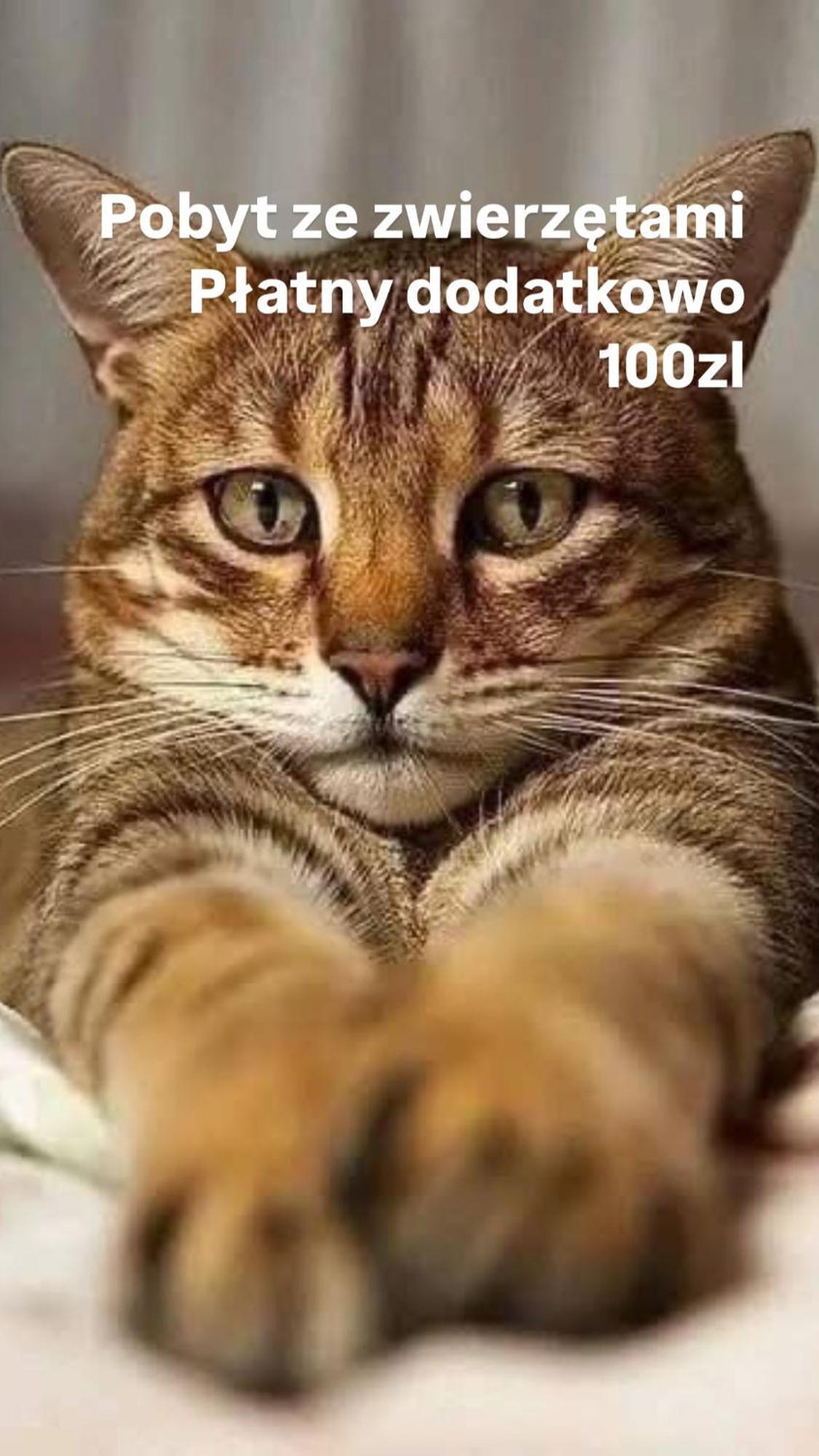 5Centrum Stanislawa Moniuszki10 Wi-Fi 1Gb Sek ワルシャワ エクステリア 写真